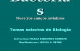 Bacterias y biofilms