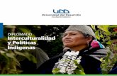 Diplomado interculturalidad & Políticas Indígenas