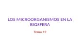 Los microorganismos en la biosfera