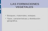 Transf. vegetales (Marina Correal)