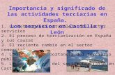 Tema 14.  Importancia y significado de las actividades terciarias en España. Los servicios en Castilla y León.