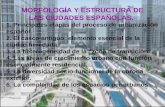 Tema 21. Morfología y estructura de las ciudades