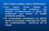 9 metabolismo bacteriano 09