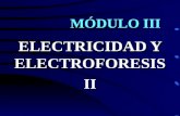 Electricidad Electroforesis Ii
