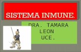Sistema inmune celulasa actual