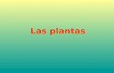 Las plantas-y-los-animales-1196697322271569-3.pptx libro