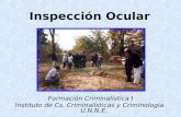 Inspección Ocular pps 2012