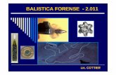 Teoria e-imagenes-balistica-forense lic.cottier-2011