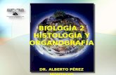 01 histología y organografía [montalvo]