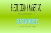 Tp de electroforesis_completo