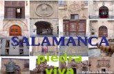 Salamanca Piedra viva
