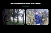 Recorriendo los árboles en el campo - Andres Stangalini