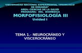 Tema 1 y 2. Neurocraneo y Viscerocraneo. Morfofisiologia III. Ing Biomedica