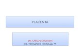 Placenta carvajal urquieta