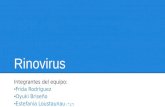 enterovirus rinovirus