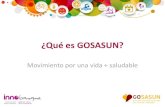 ¿Que es GOSASUN?