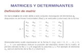Matrices+y+determinantes 1