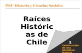 Pueblos Indigenas Chilenos