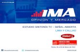 IMA - Estudio de Sintonía de TV l Brief - 2012