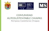 Comunidadad Autosustentable Chiapas