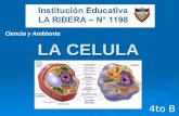 Celula. Primaria. IE N°1198 La Ribera. Aula de Innovación Pedagógica