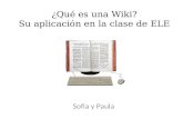 Wiki / Wiki en la clase de ELE