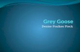 Grey goose2