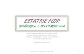 Estatice Flor Catalogo N 1 Septiembre 2008 Mini