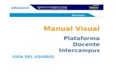 Guía Visual Educalab