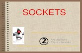 1213 Sockets [2] Arquitectura client - servidor