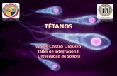 Historia Natural del tetanos
