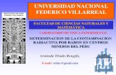 Determinacion De La Contaminacion Radiactiva Por Radon En Centros Mineros Del Peru
