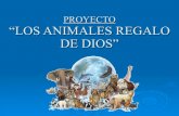 Proyecto  los animales regalo de Dios