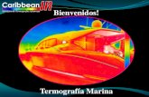 Presentacion termografia marina espanol