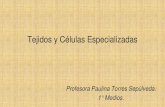 Tejidos y Especialización Celular