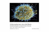 Ébola, Epidemiología y proyecciones futuras