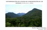 Metodología para determinar el estado conservación bosque
