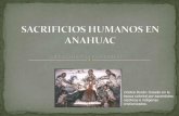 sacrificios humanos entre los Aztecas, Mayas, etc. verdad o mentira
