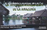 Amazonia Jm