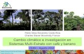 Cambio climatico e investigacion en agroforesteria agosto 2012