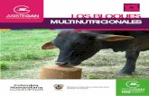 Cartilla modulo alimentacion_bloques_nutricionales