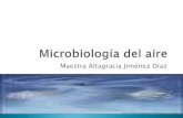 Microbiología del airediapositivas oky