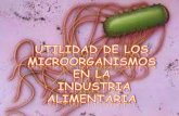Utilidad de los microorganismos en la industria alimentaria