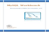 Reconocimiento editor de MySQL Workbench