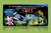 Biodiversidad de Flora y Fauna de Colombia