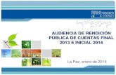 Presentación Viceministerio de Desarrollo Energético - Audiencia Pública enero 2014