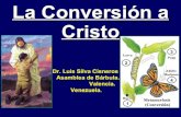 CONF. LA CONVERSION A CRISTO (1)  Y LAS 7 COLUMNAS DE LA IGLESIA