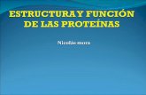 Clase estructura y función de las proteínas