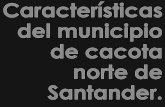 Características del municipio de cacota norte de santander.
