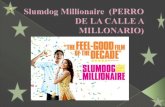 Slumdog millionaire (1)